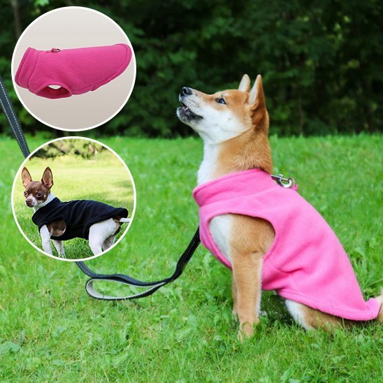 Manteau chien | SnowPaws™ - Joyeux chien