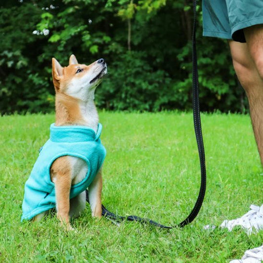 Manteau chien | SnowPaws™ - Joyeux chien