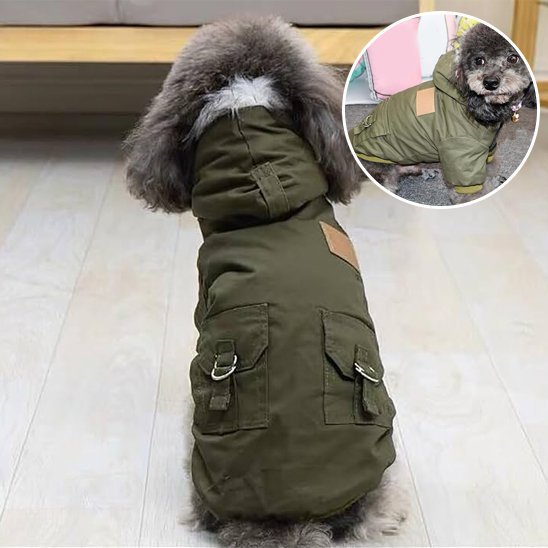 Manteau chien | WildCoat™ - Joyeux chien