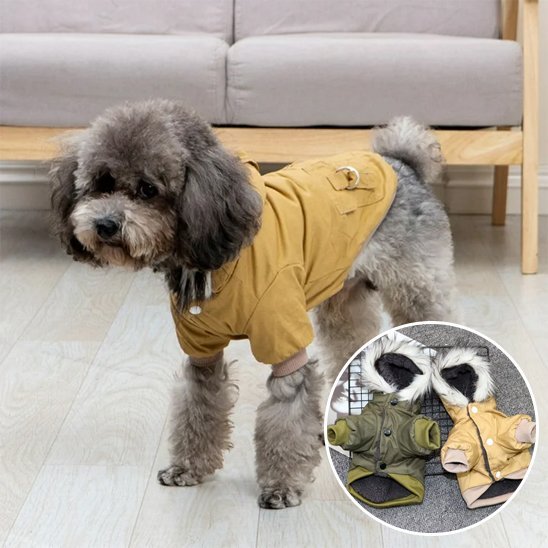 Manteau chien | WildCoat™ - Joyeux chien