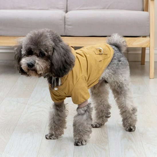 Manteau chien | WildCoat™ - Joyeux chien