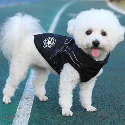 Manteau Imperméable Pour Chien | Confort Chaud - Joyeux chien