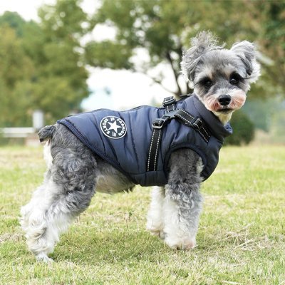 Manteau Imperméable Pour Chien | Confort Chaud - Joyeux chien