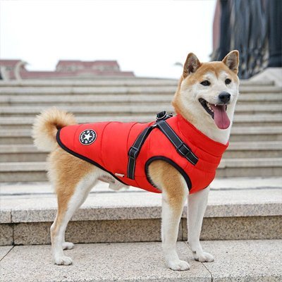 Manteau Imperméable Pour Chien | Confort Chaud - Joyeux chien