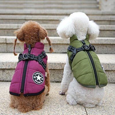 Manteau Imperméable Pour Chien | Confort Chaud - Joyeux chien