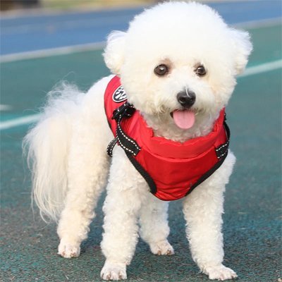 Manteau Imperméable Pour Chien | Confort Chaud - Joyeux chien