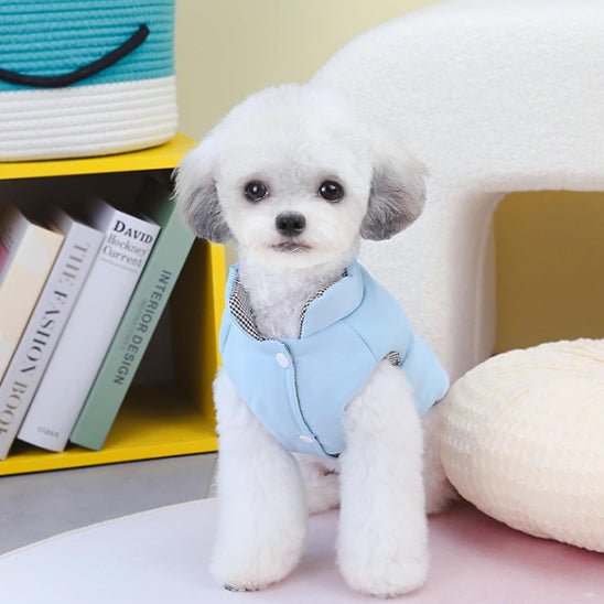Manteau Petit Chien | ArktikCanis™ - Joyeux chien