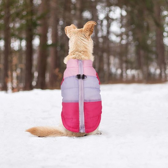 Manteau petit chien | CosyPup™ - Joyeux chien
