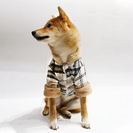 Manteau pour chien élégant tartan | Doguelin™ - Joyeux chien