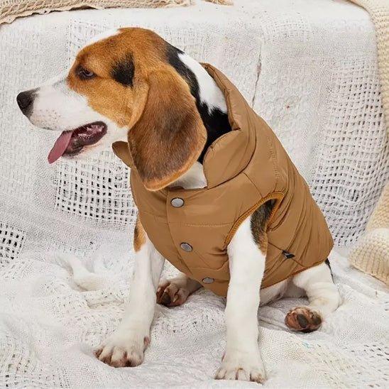 Manteau pour chien | Greloti™ - Joyeux chien