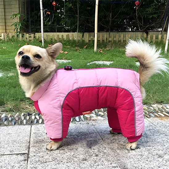 Manteau pour chien | NordikDog™ - Joyeux chien