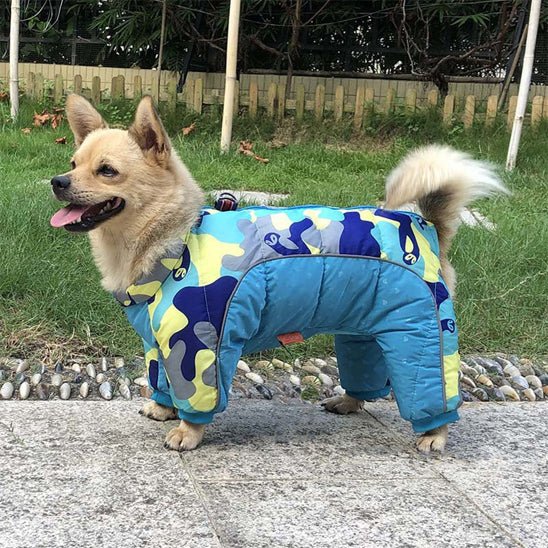 Manteau pour chien | NordikDog™ - Joyeux chien