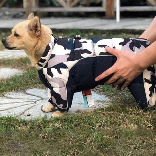 Manteau pour chien | NordikDog™ - Joyeux chien