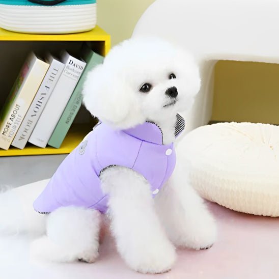 manteau pour chien variant violet