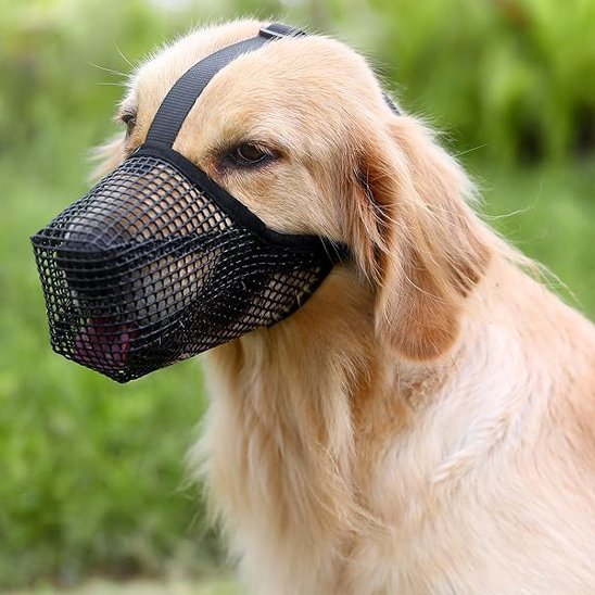 Muselière chien | Canixo™ - Joyeux chien
