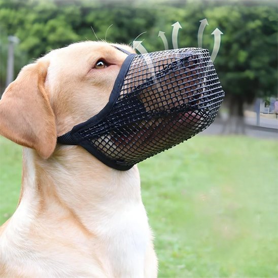Muselière chien | Canixo™ - Joyeux chien