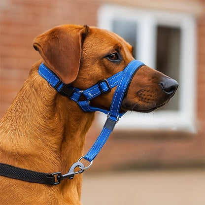 Muselière chien | PureDog™ - Joyeux chien