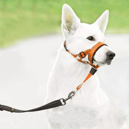 Muselière chien | PureDog™ - Joyeux chien