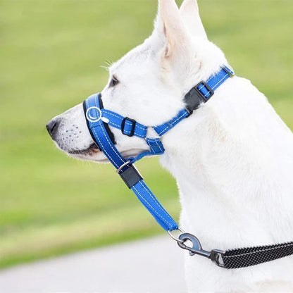 Muselière chien | PureDog™ - Joyeux chien