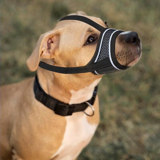 Muselière pour chien | Muzzlo™ - Joyeux chien