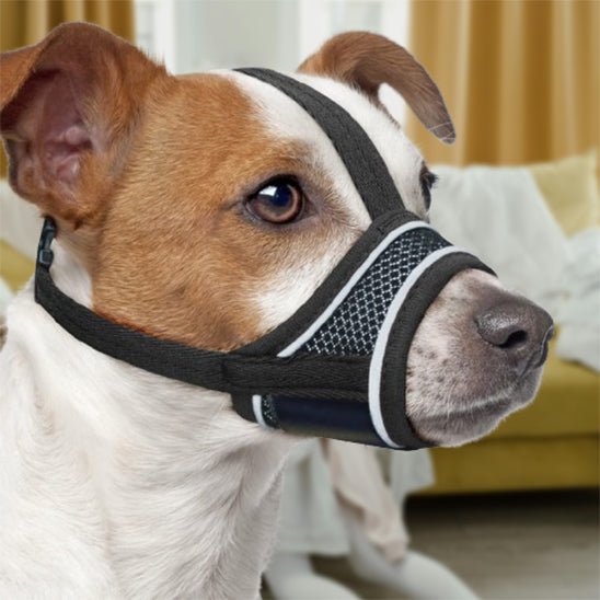 Muselière pour chien | Muzzlo™ - Joyeux chien