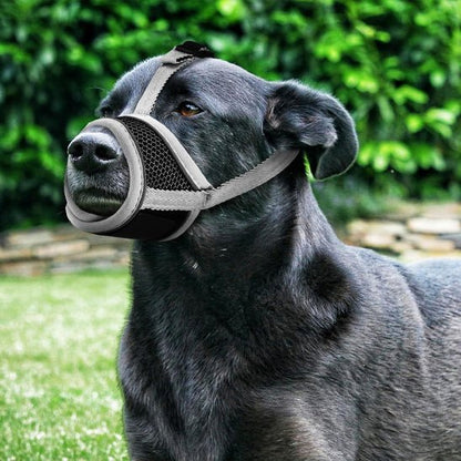 Muselière pour chien | Muzzlo™ - Joyeux chien