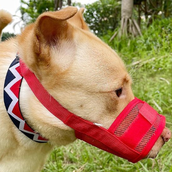Muselière pour chien | Pawly™ - Joyeux chien