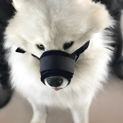 Muselière pour chien | Pawly™ - Joyeux chien