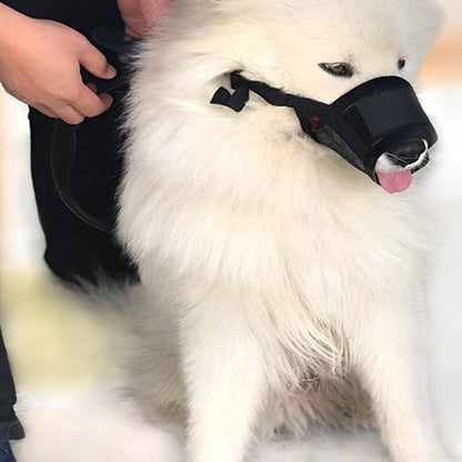 Muselière pour chien | Pawly™ - Joyeux chien