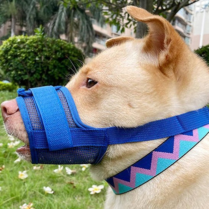 Muselière pour chien | Pawly™ - Joyeux chien
