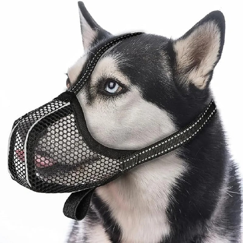 Muselière pour chien | PawZen™ - Joyeux chien