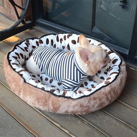 Panier chien | Édenpoil™ - Joyeux chien