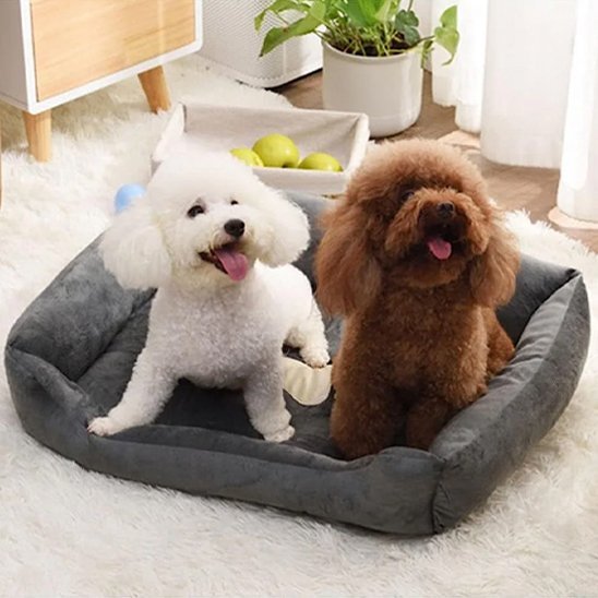 Panier pour chien | Bedly™ - Joyeux chien