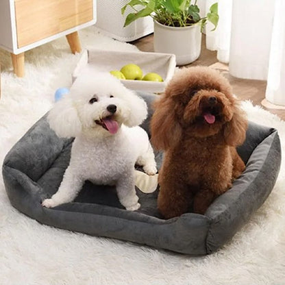 Panier pour chien | Bedly™ - Joyeux chien