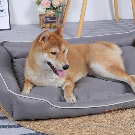 Panier pour chien | comfortPet™ - Joyeux chien