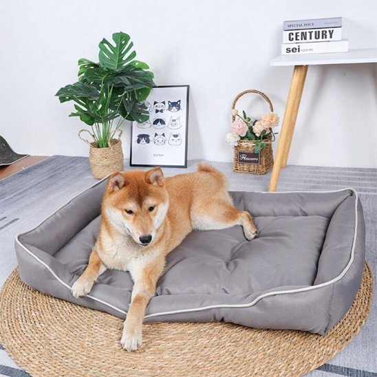 Panier pour chien | comfortPet™ - Joyeux chien