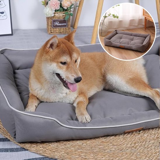 Panier pour chien | comfortPet™ - Joyeux chien