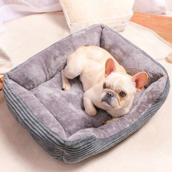 Panier pour chien | PawHaven™ - Joyeux chien