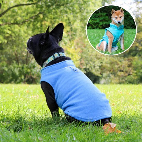 Manteau chien | SnowPaws™