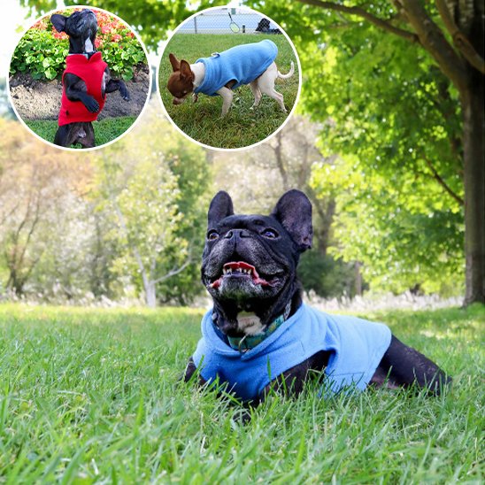 Manteau chien | SnowPaws™