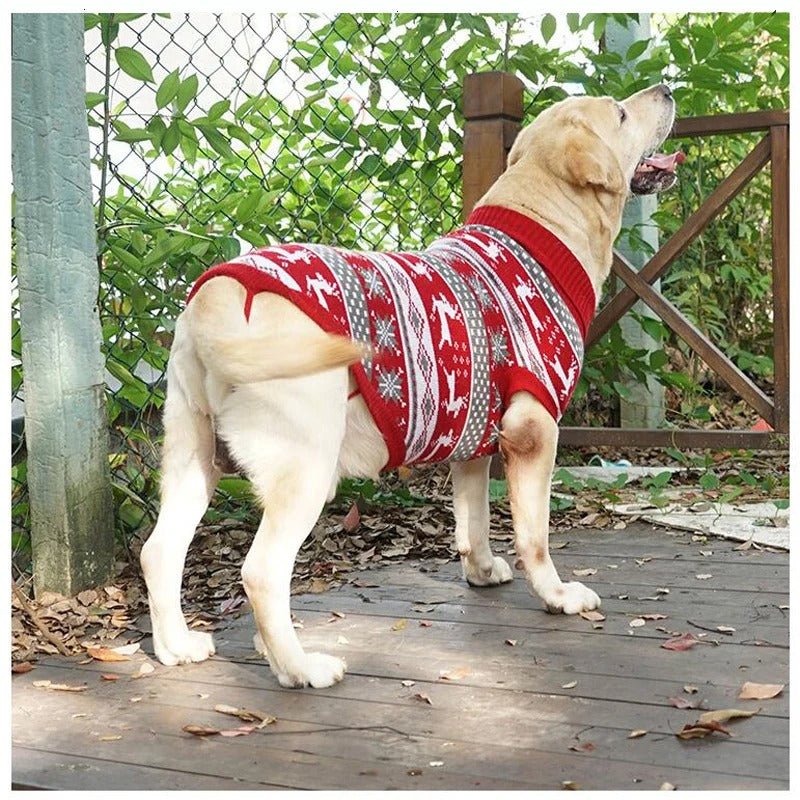 Pull - over pour chien | FrostTail™ - Joyeux chien