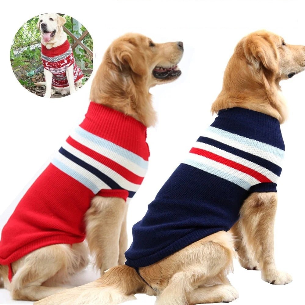 Pull - over pour chien | FrostTail™ - Joyeux chien
