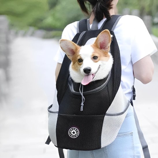 Sac à dos pour chien | Aurobag™ - Joyeux chien