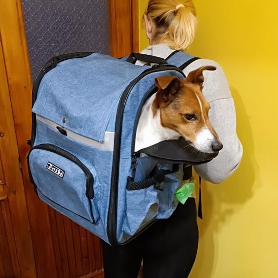 Sac à dos pour chien | MuzoSac™ - Joyeux chien