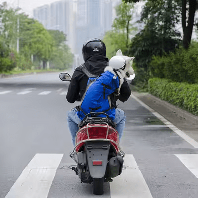 Sac à Dos pour Chien - PetBackpack™ - Bleu - Joyeux chien