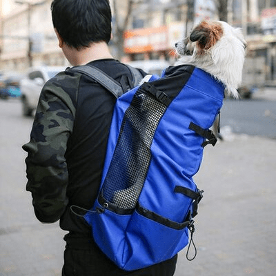 Sac à Dos pour Chien - PetBackpack™ - Bleu - Joyeux chien