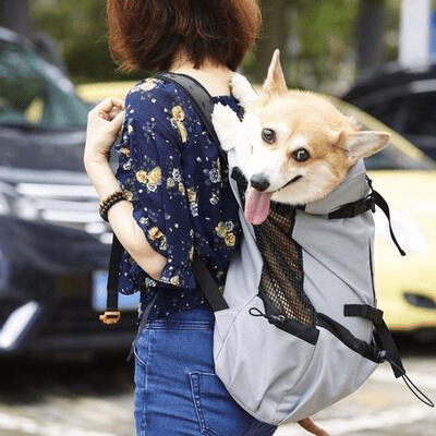 Sac à Dos pour Chien - PetBackpack™ - Gris - Joyeux chien