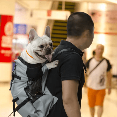 Sac à Dos pour Chien - PetBackpack™ - Gris - Joyeux chien