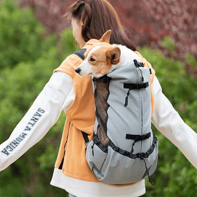 Sac à Dos pour Chien - PetBackpack™ - Gris - Joyeux chien