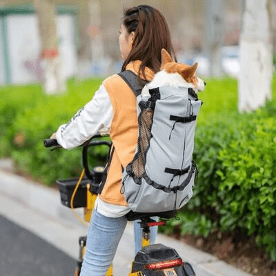 Sac à Dos pour Chien - PetBackpack™ - Gris - Joyeux chien